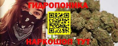 гидра Кинель
