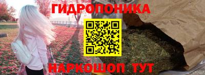 гидра Кинель