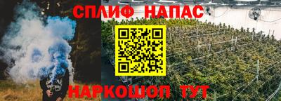 герыч Кингисепп