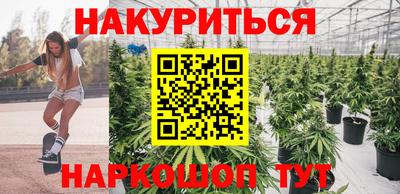 герыч Кингисепп