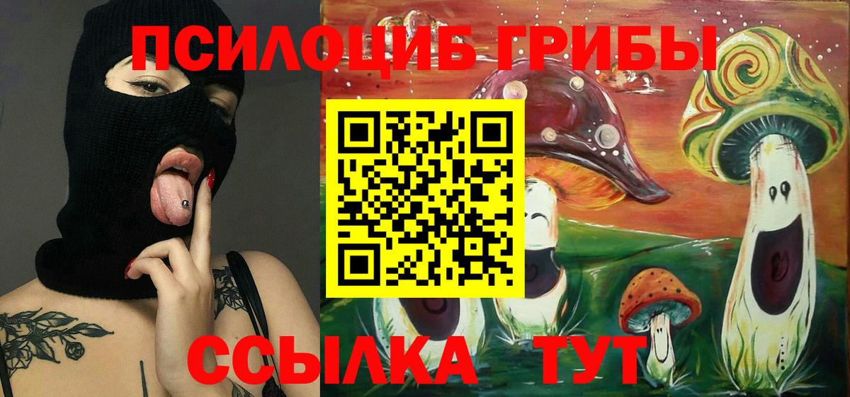 где купить   Вход с VPN  Кировск  Галлюциногенные грибы MAGIC MUSHROOMS 