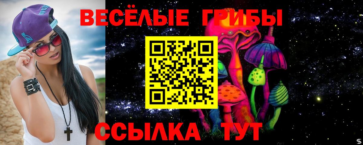 Галлюциногенные грибы прущие грибы Кировск